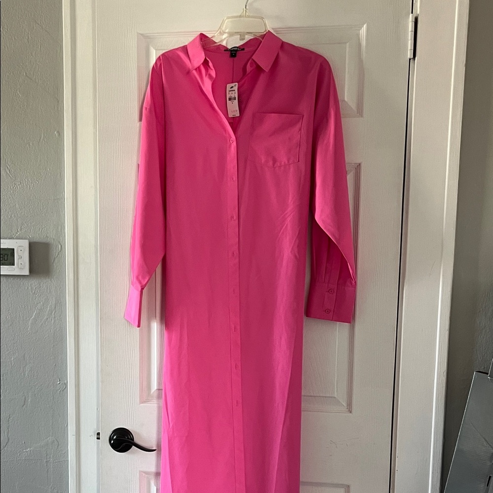 Express Pink Long Sleeve Dress